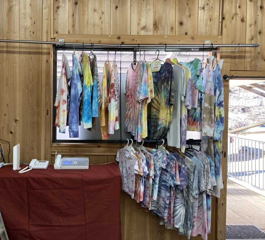 やぐら沢キャンプ場 photo 5