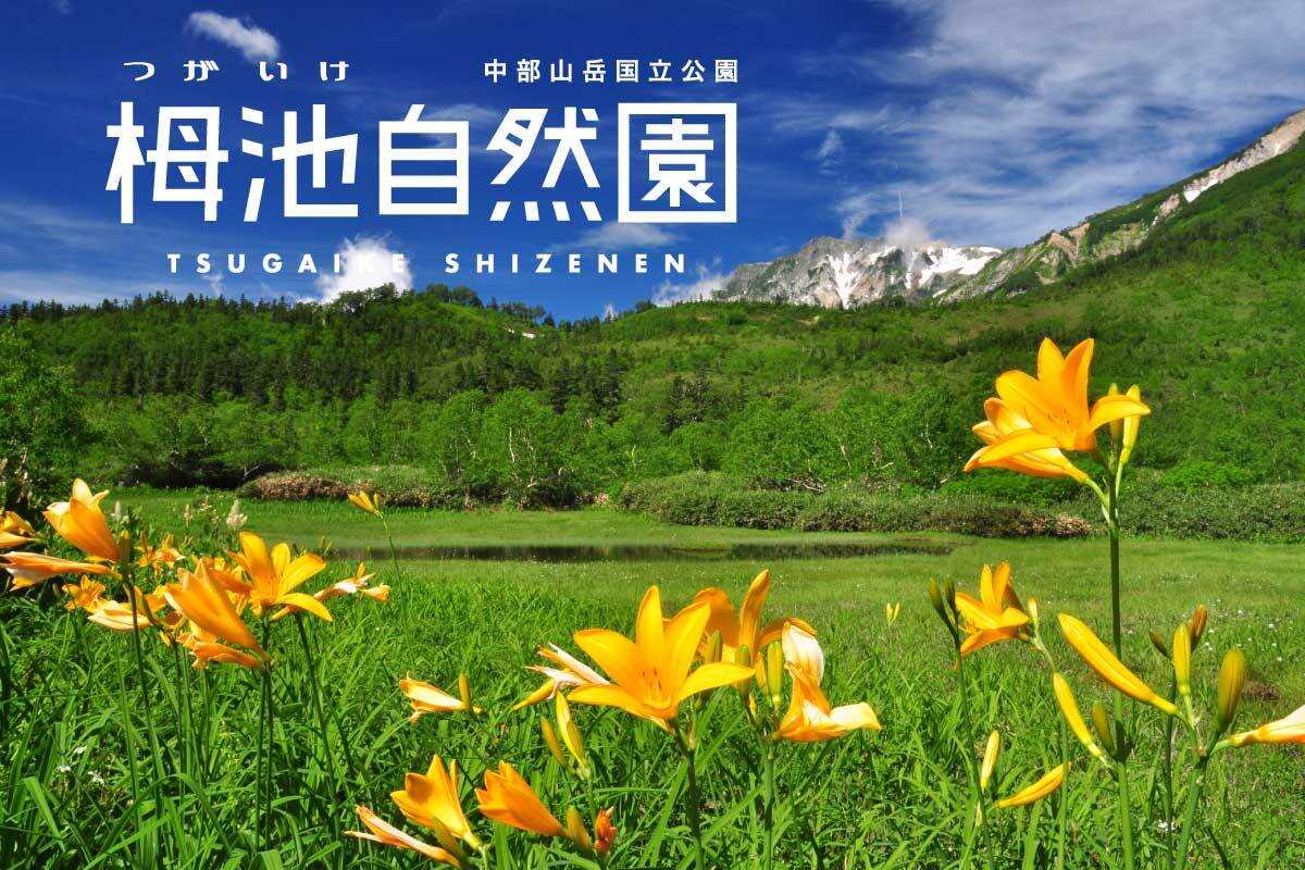 【R6/3現在 休止中】TSUGAIKE OUTDOOR VILLAGE(旧名:GLAMPING FIELD TSUGAIKE)