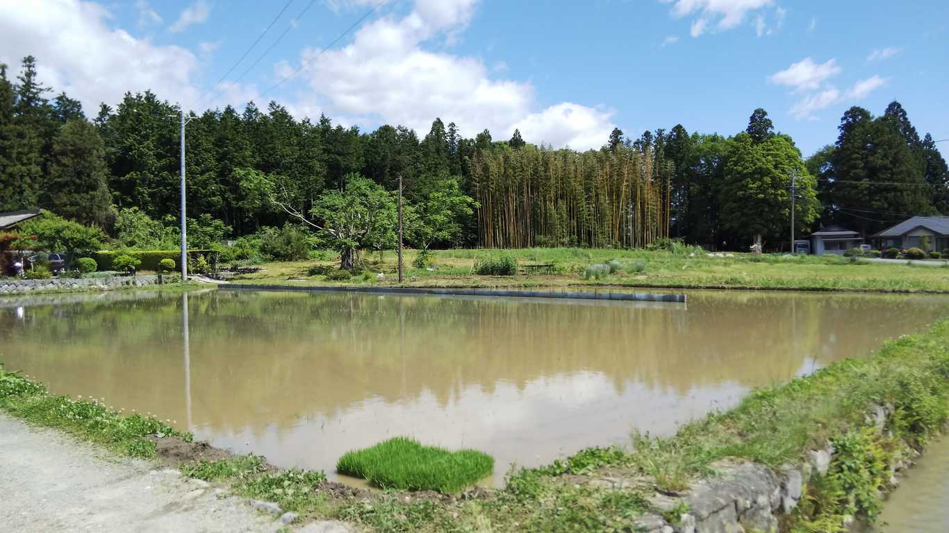 いちばの森キャンプ場（旧：市場の間） photo 2