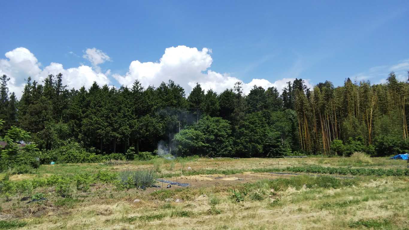 いちばの森キャンプ場（旧：市場の間） photo 3