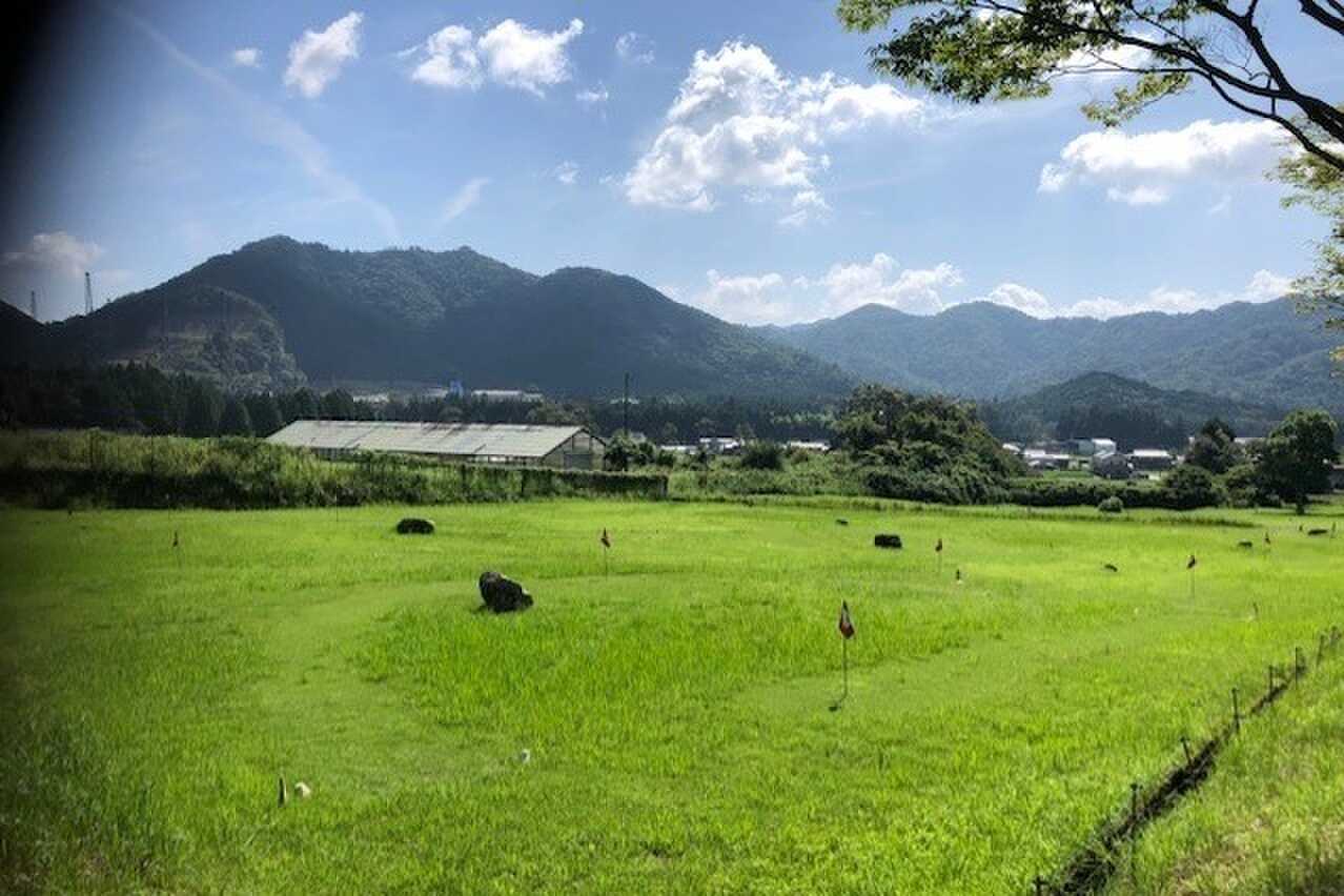 ヴィレッジフォレスト妙見の写真 3枚目