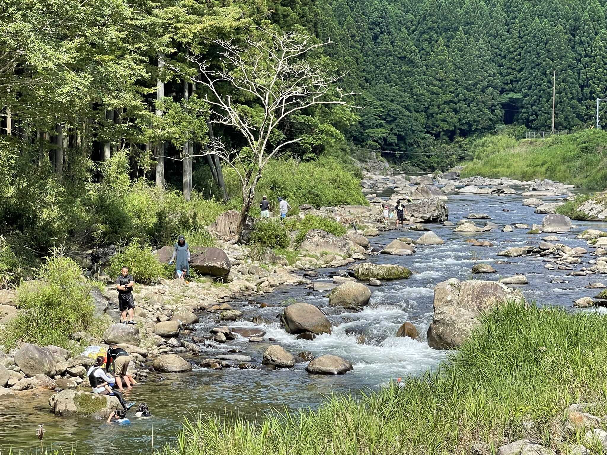 小太郎岩の麓、青蓮寺川沿いに位置し 春は桜、夏は蛍、秋は紅葉、冬は雪景色…と 曽爾の大自然の中でキャンプをお楽しみいただけます♪