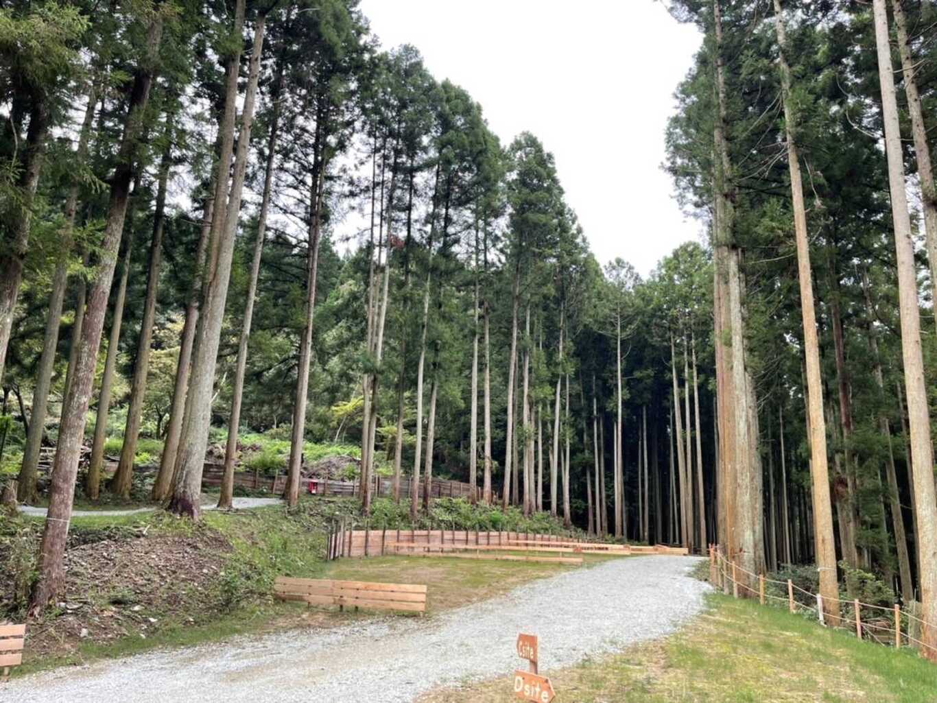 小太郎岩キャンプ場 photo 3