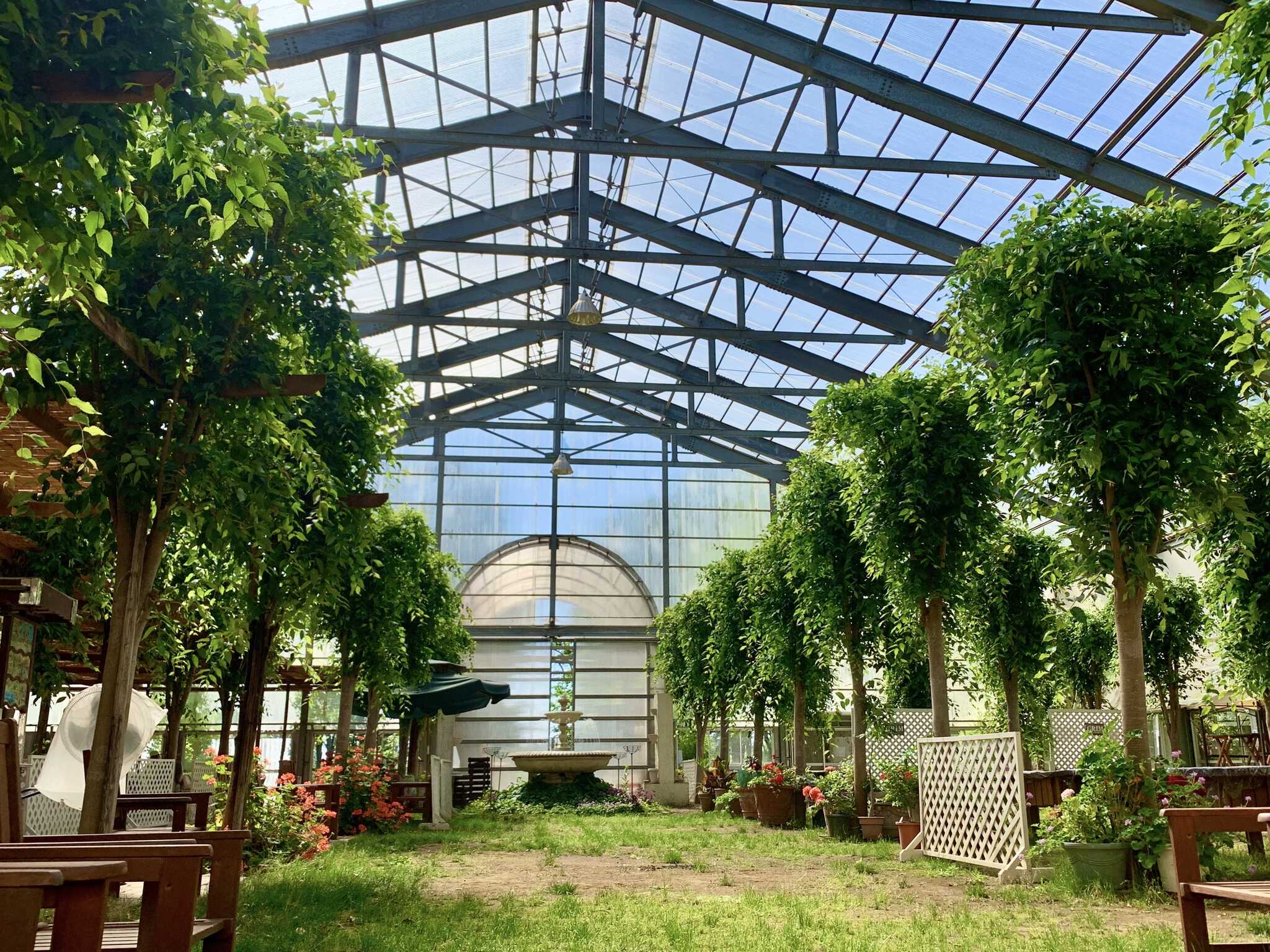 Natural Space GRIMの写真 2枚目