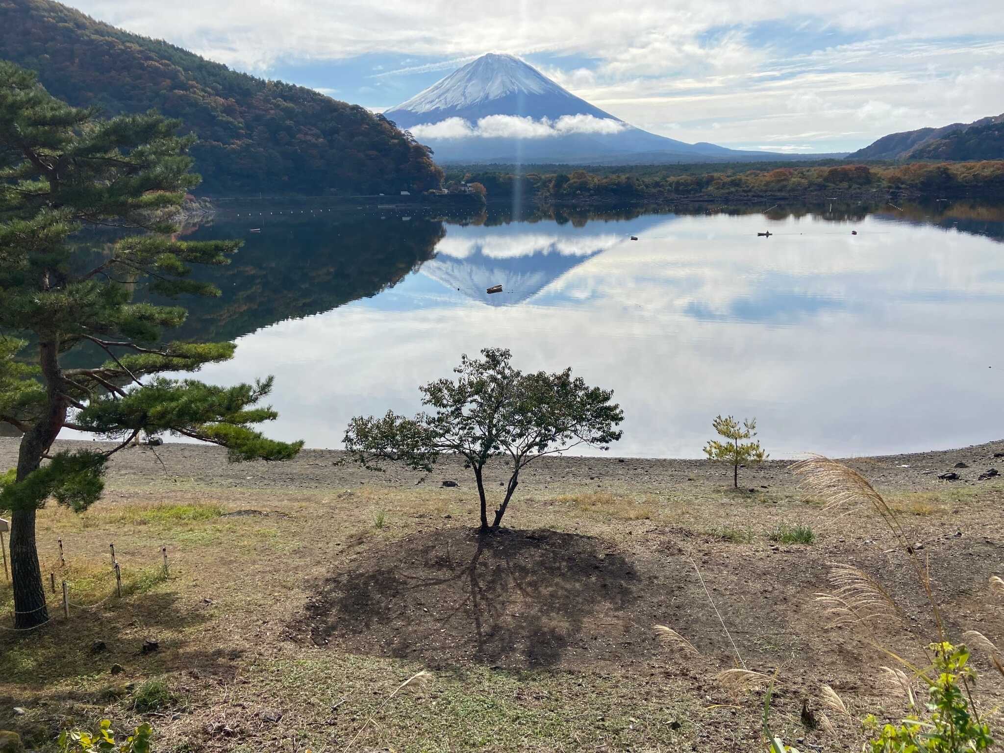 精進レークサイドキャンプの写真 4枚目