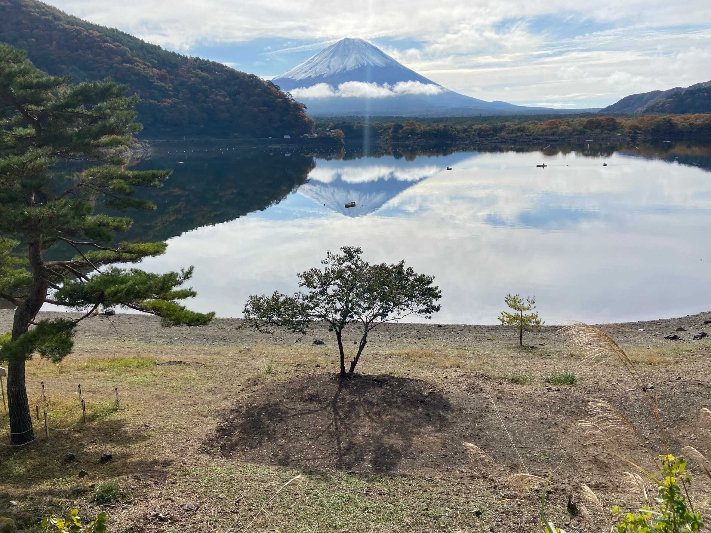 精進レークサイドキャンプの写真 4枚目