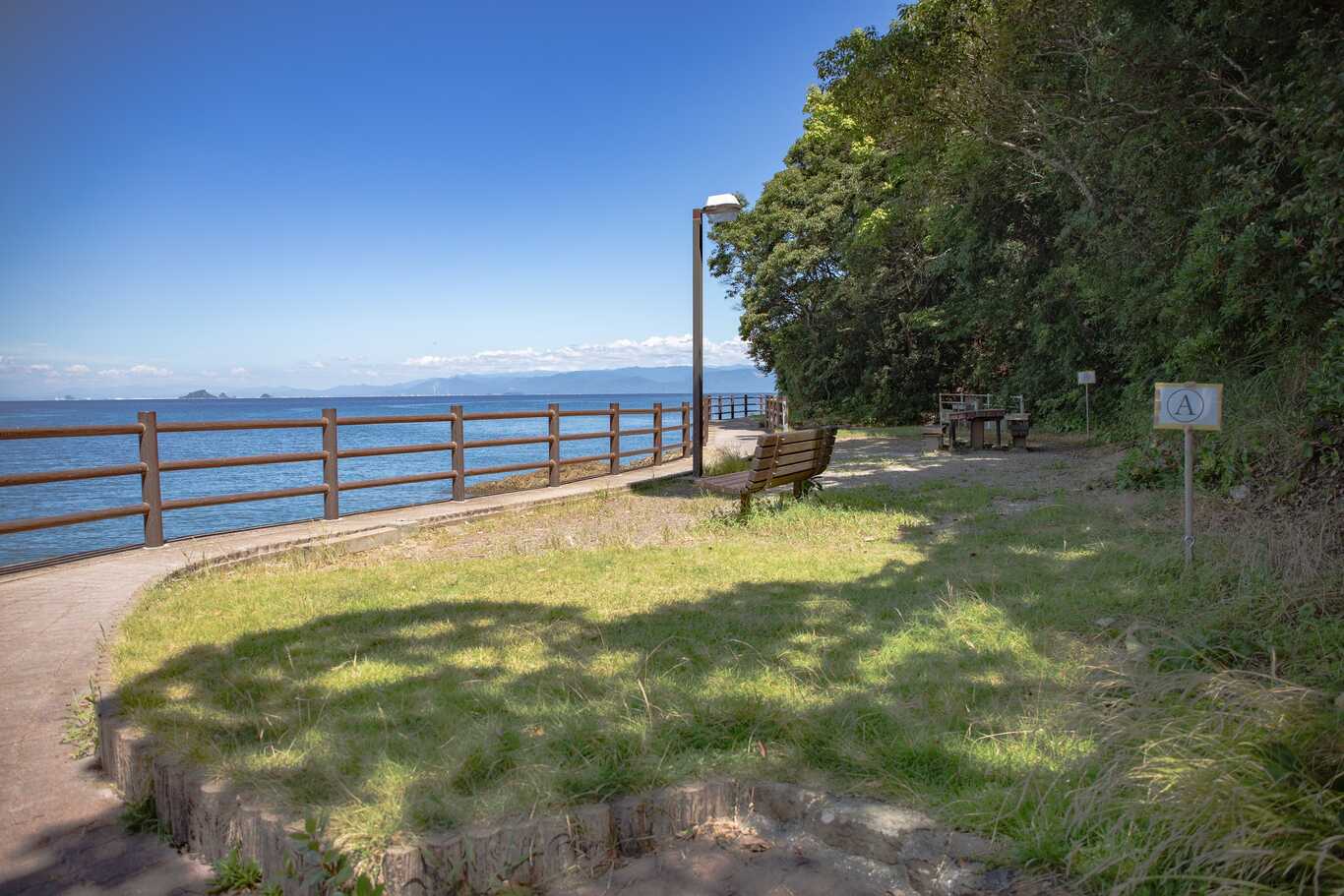 小島公園キャンプ場 photo 4