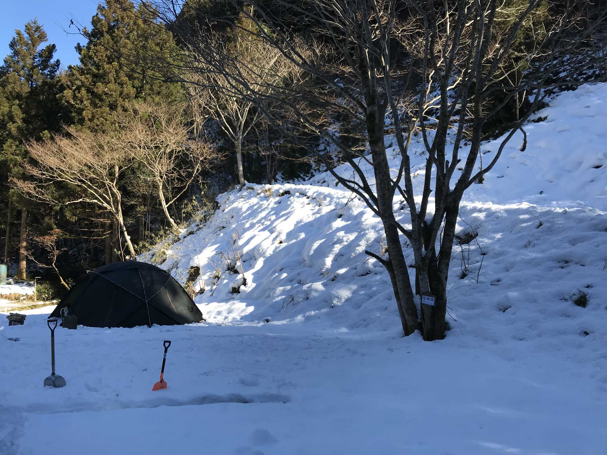 トリッパーベース