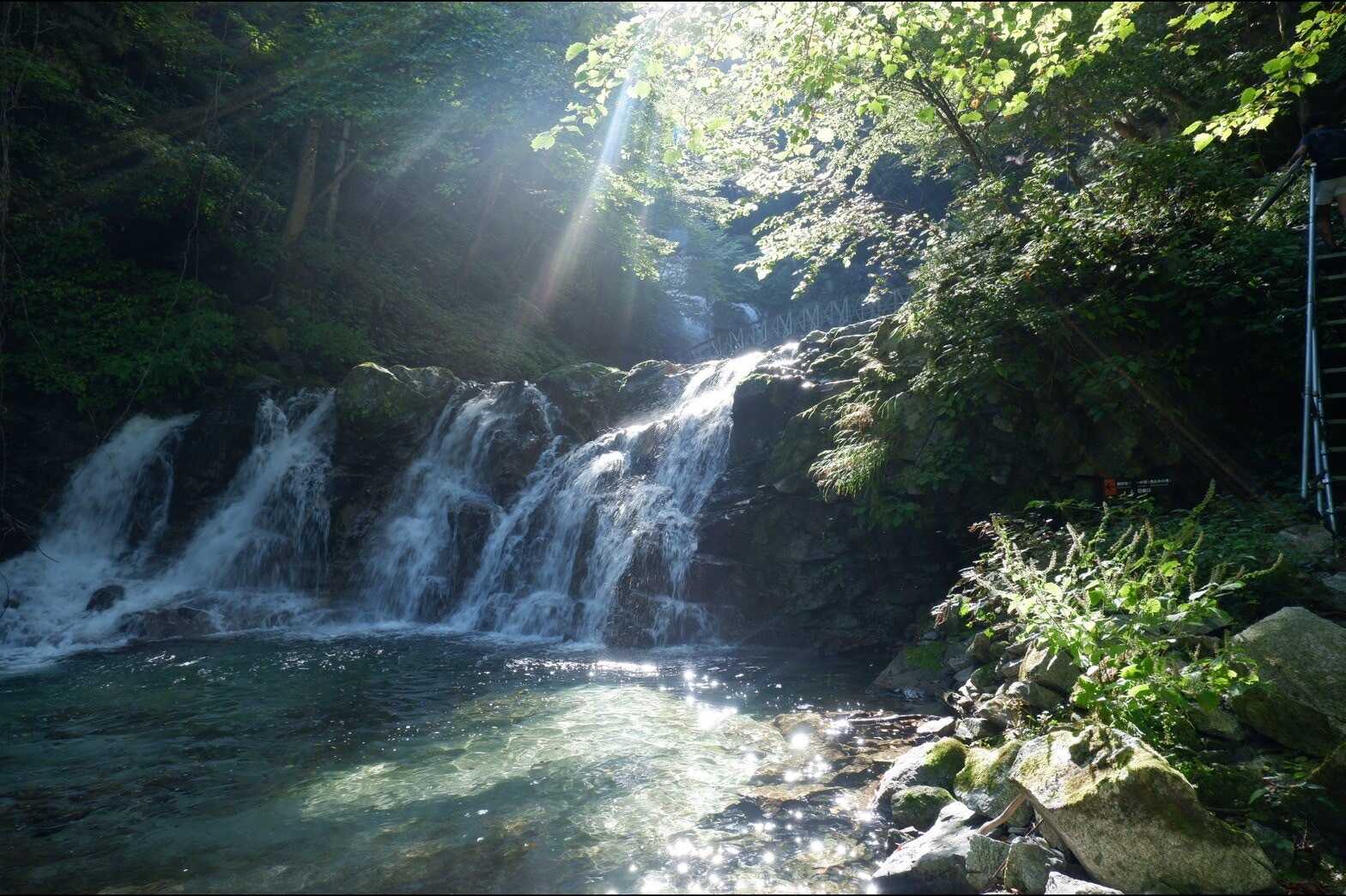 FREE FIELD 陽の間の写真 4枚目