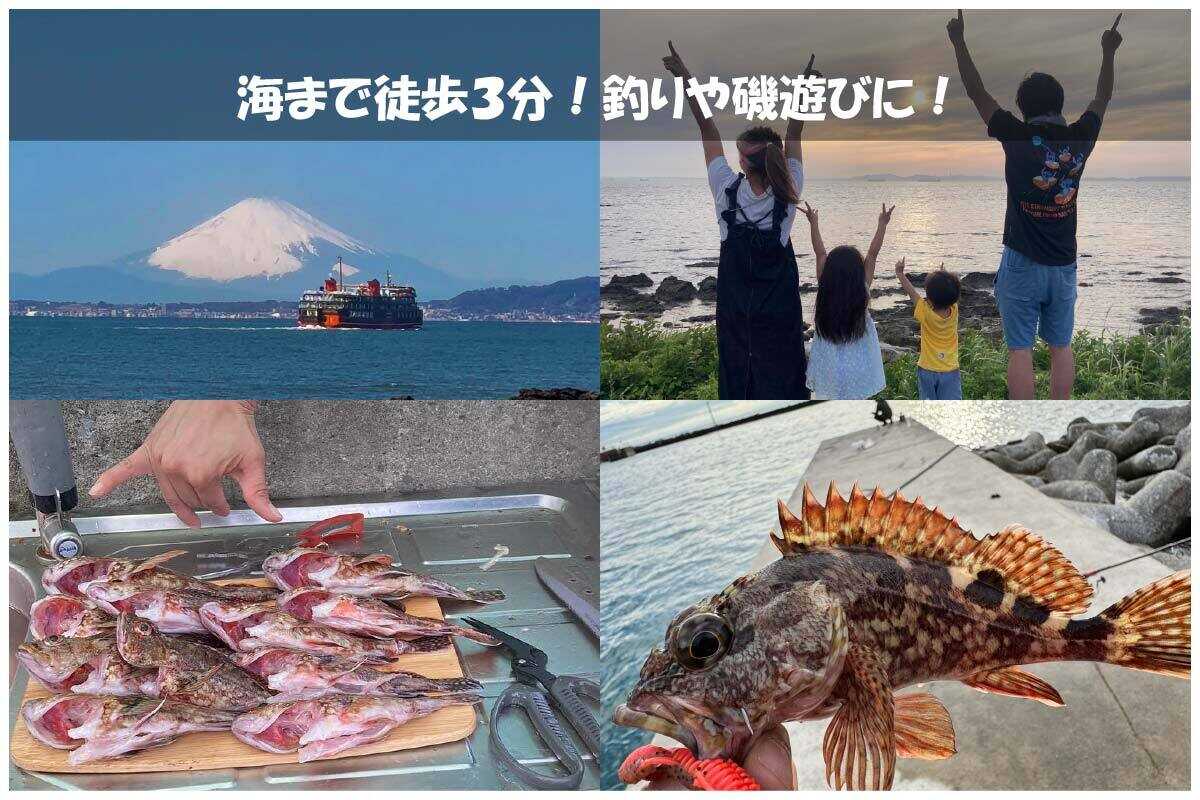 サンビレッジ金谷キャンプ場の写真 4枚目