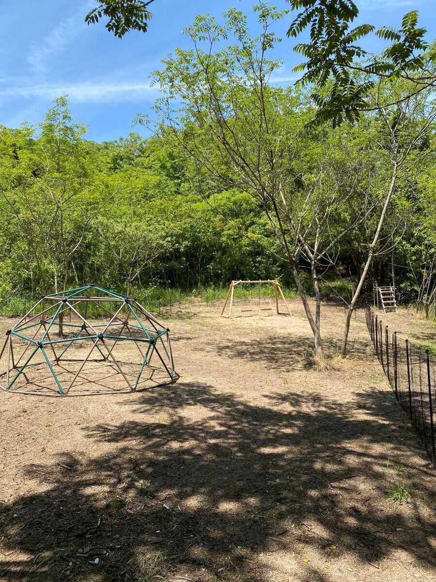 Island Camp 百島