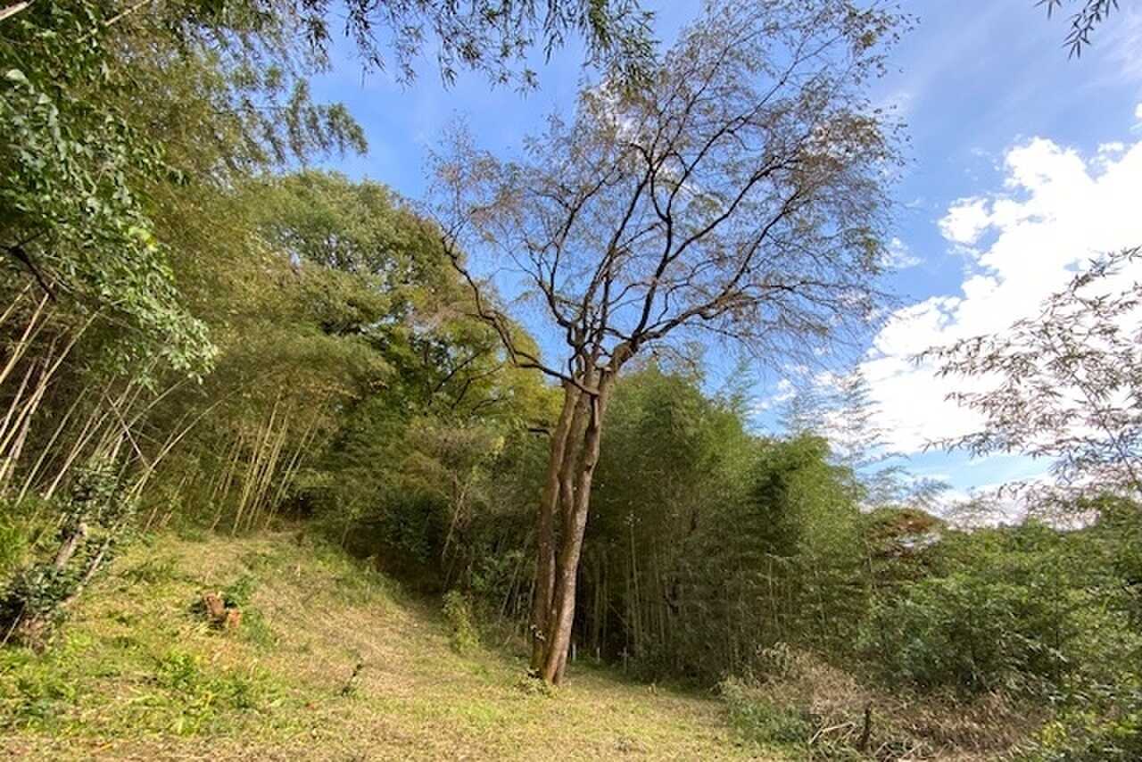 Mountain Monkeysキャンプベース秋間の写真 4枚目