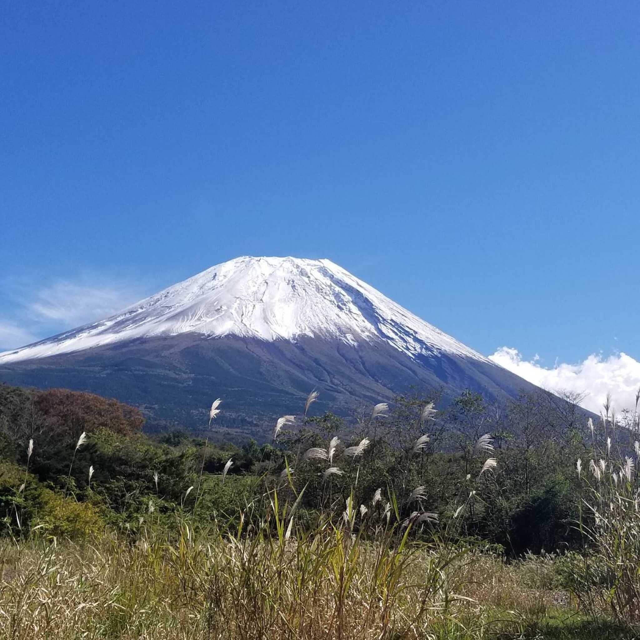 富士満天の星キャンプ場