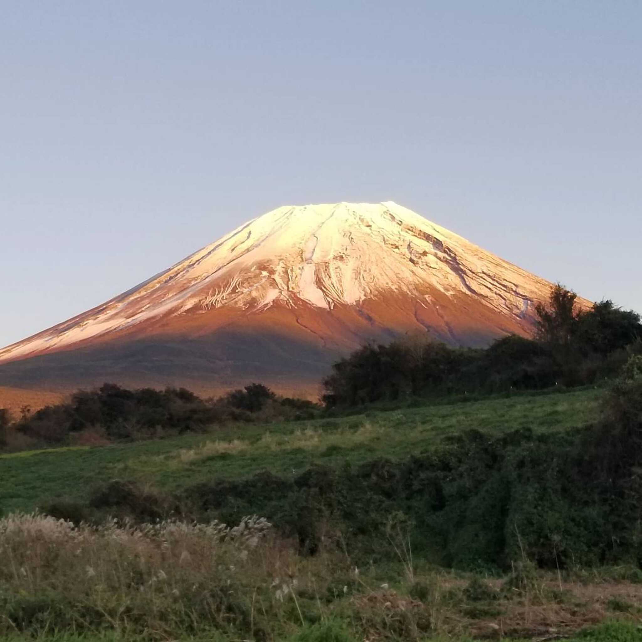 富士満天の星キャンプ場の写真 1枚目