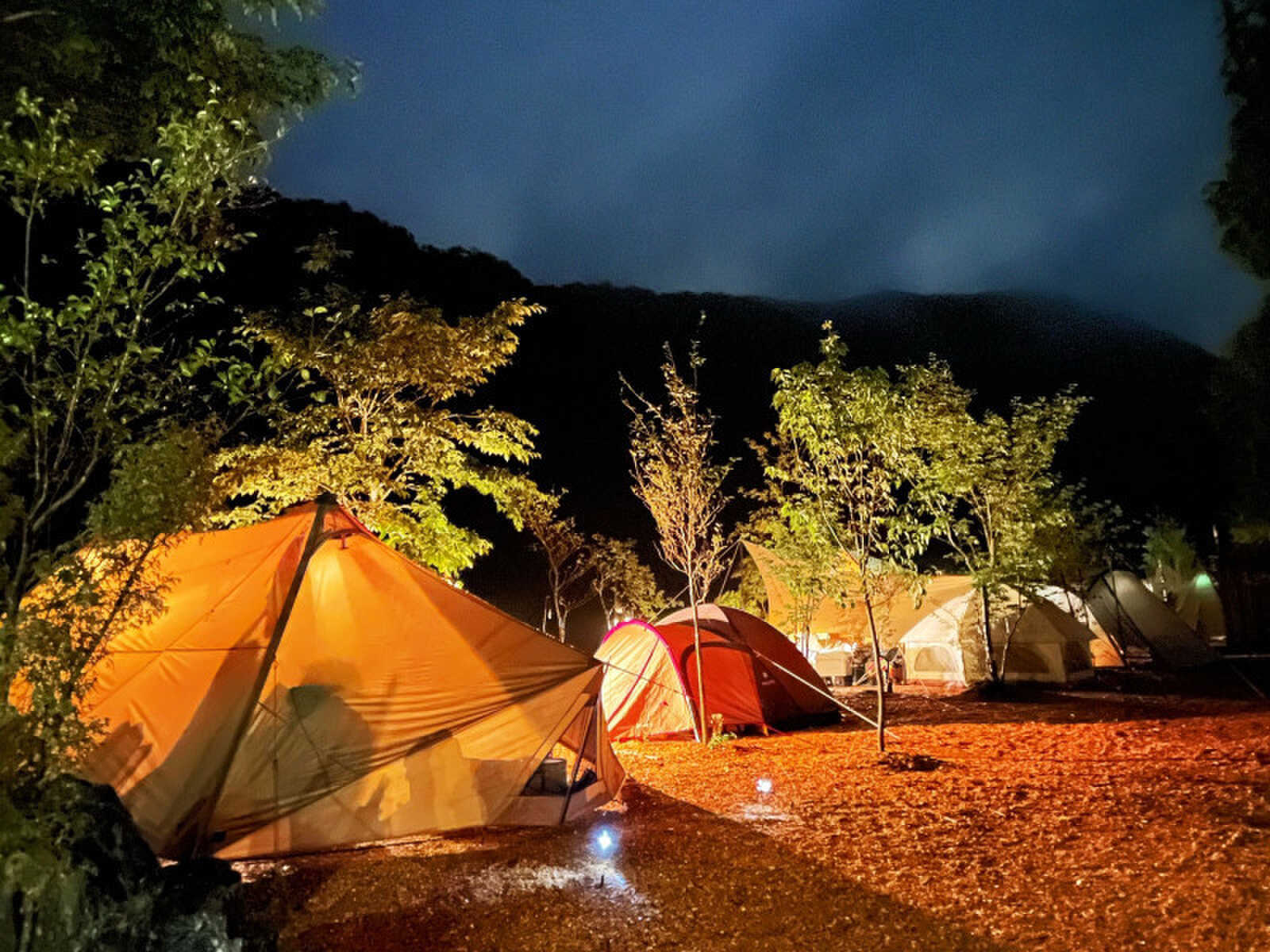 REDROCKキャンプ場の写真 3枚目