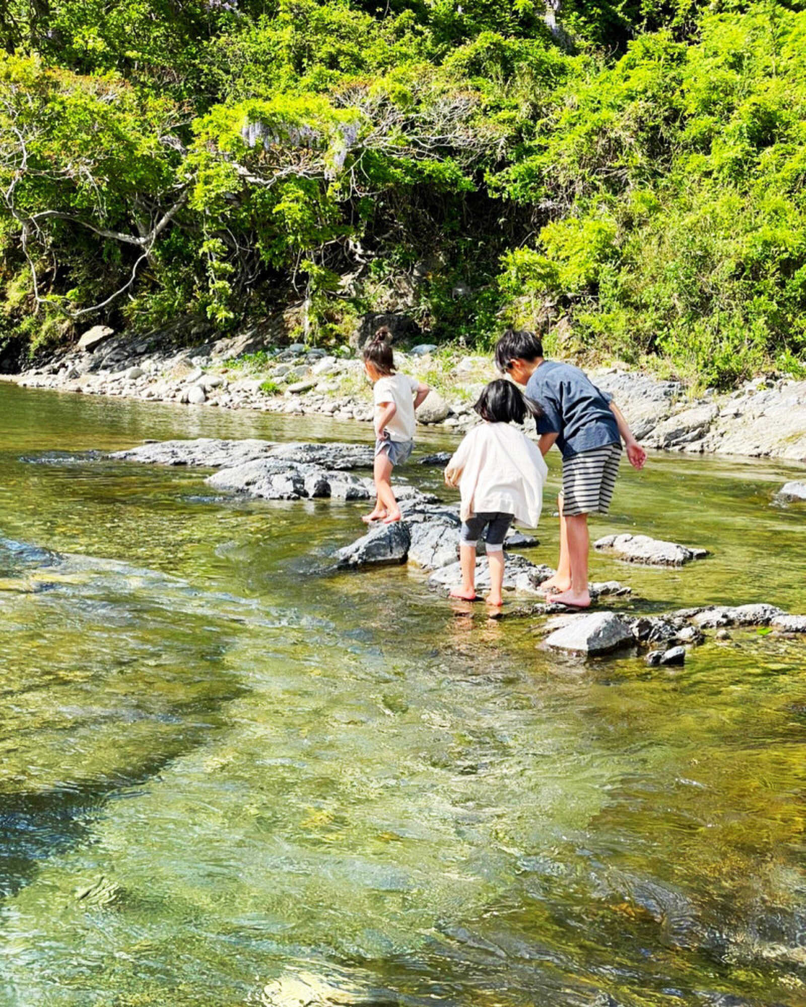 REDROCKキャンプ場の写真 4枚目