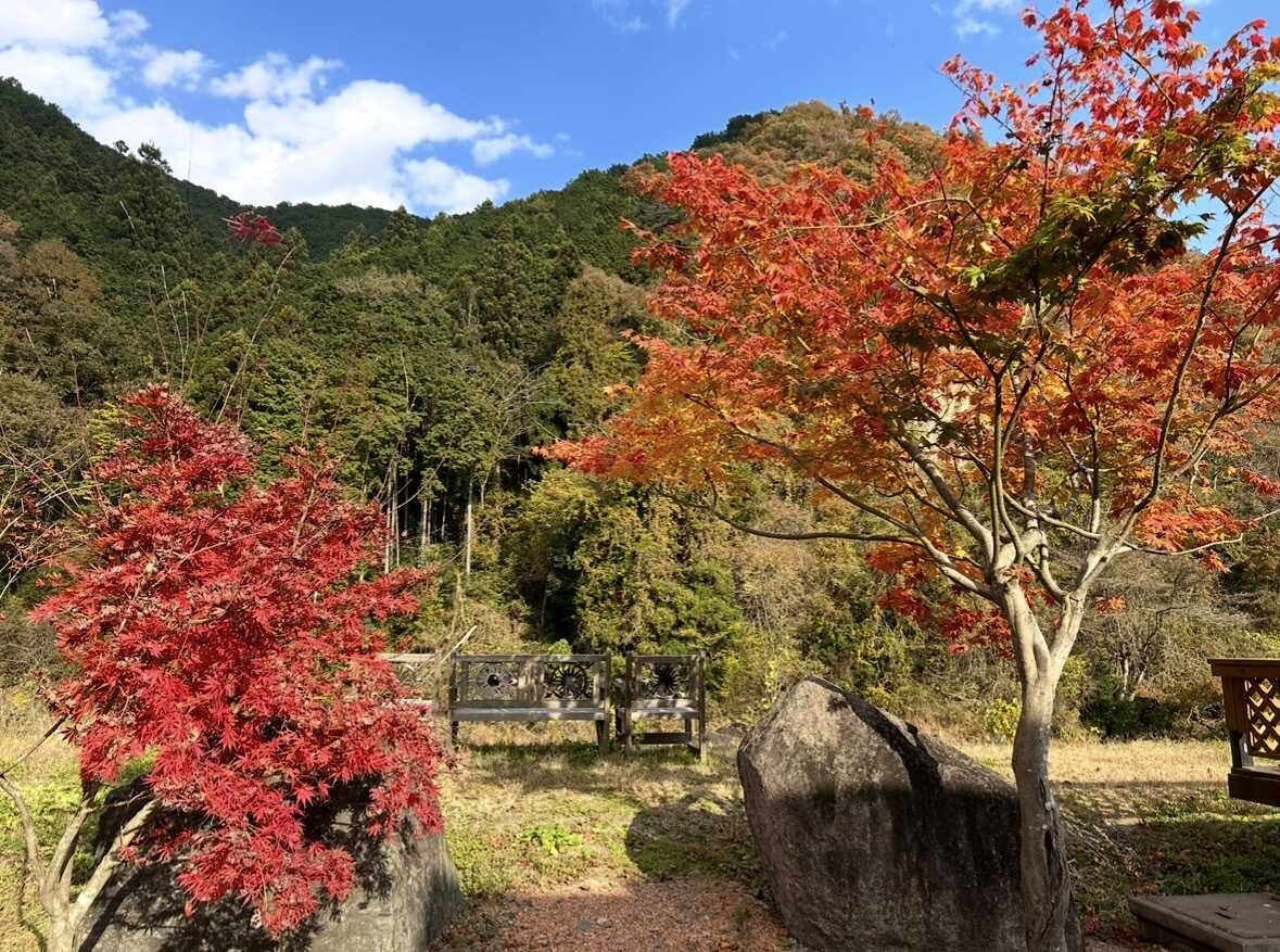 REDROCKキャンプ場の写真 2枚目