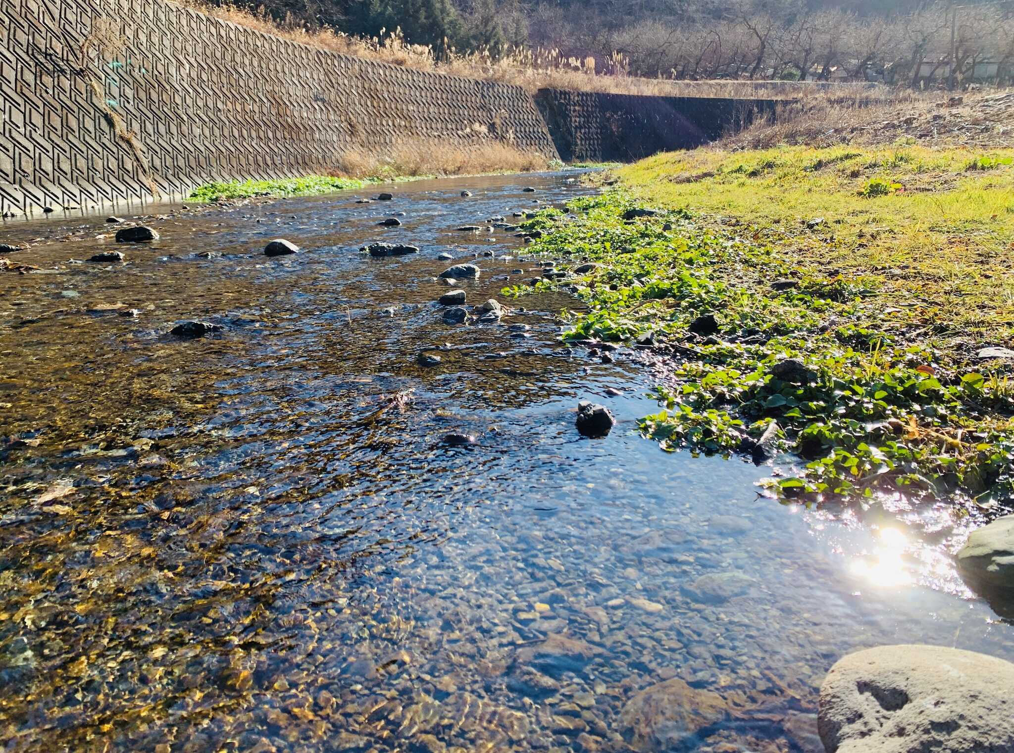 浅瀬の川は夏場にはお魚も。水遊び可能です
