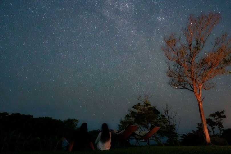 古宇利島キャンプ庭園の写真 5枚目