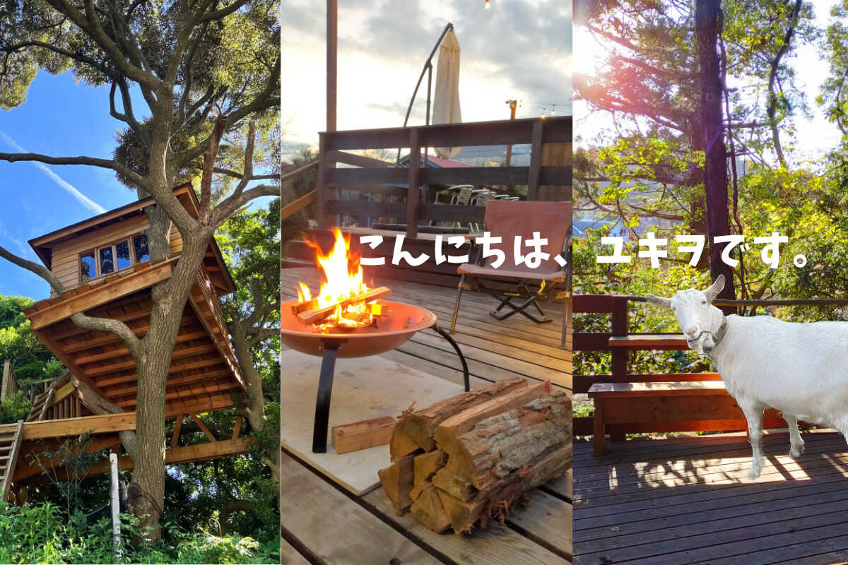 スターフォレストキャンプ葉山