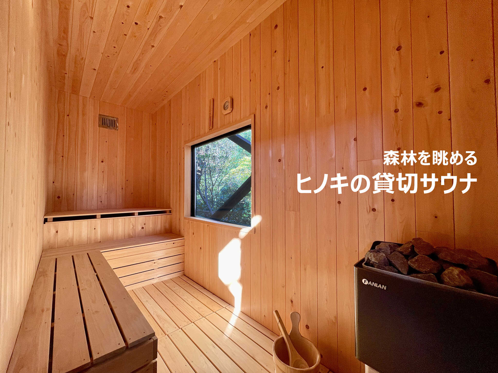 森を眺めながらととのう、ヒノキの貸切サウナ