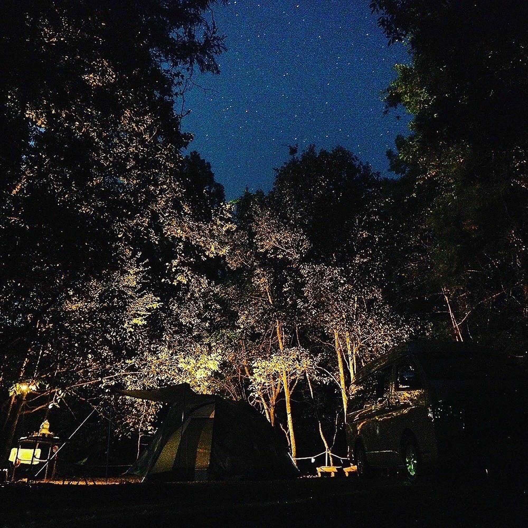 foo dee's woodland プライベート campsiteの写真 1枚目