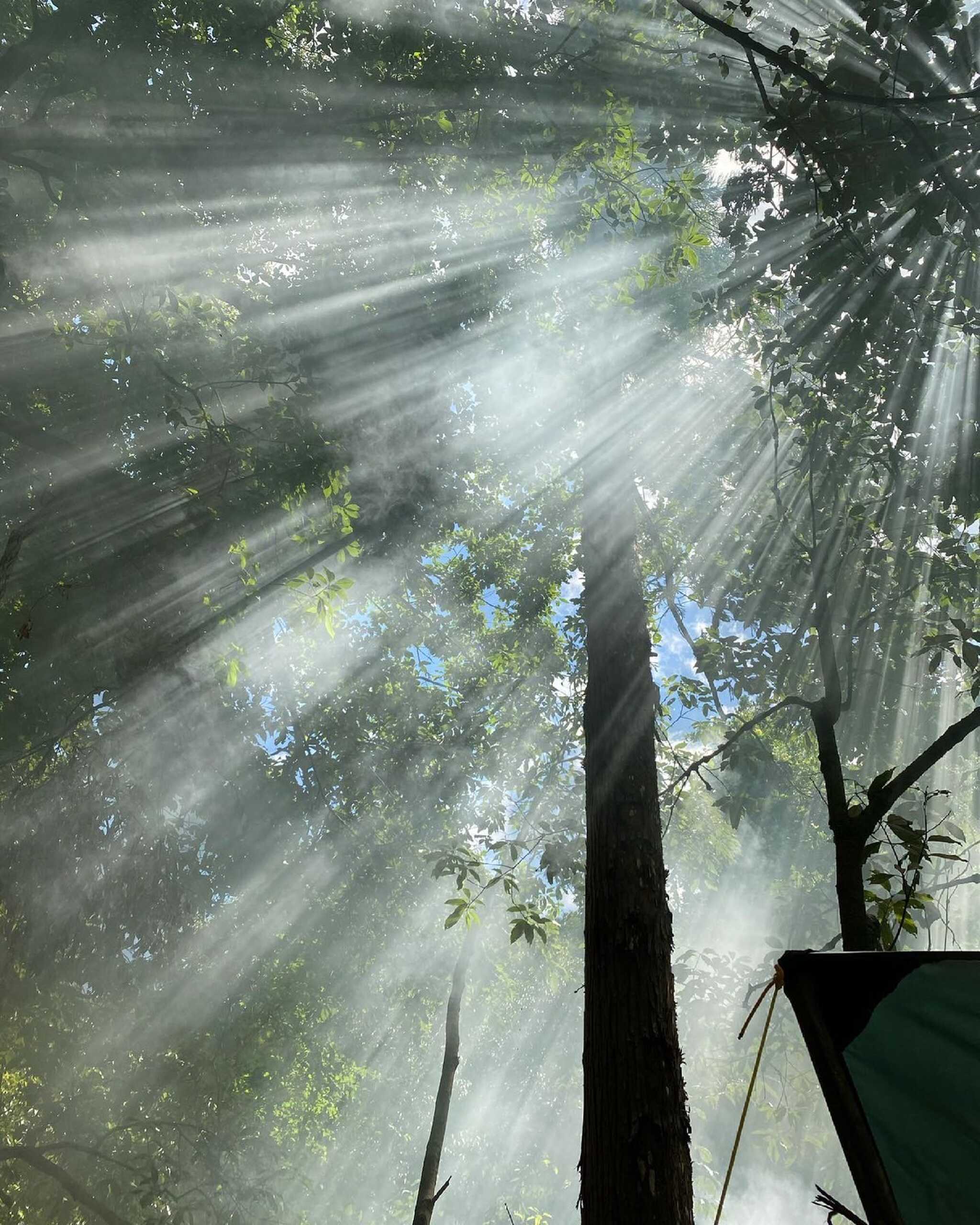 foo dee's woodland プライベート campsiteの写真 5枚目