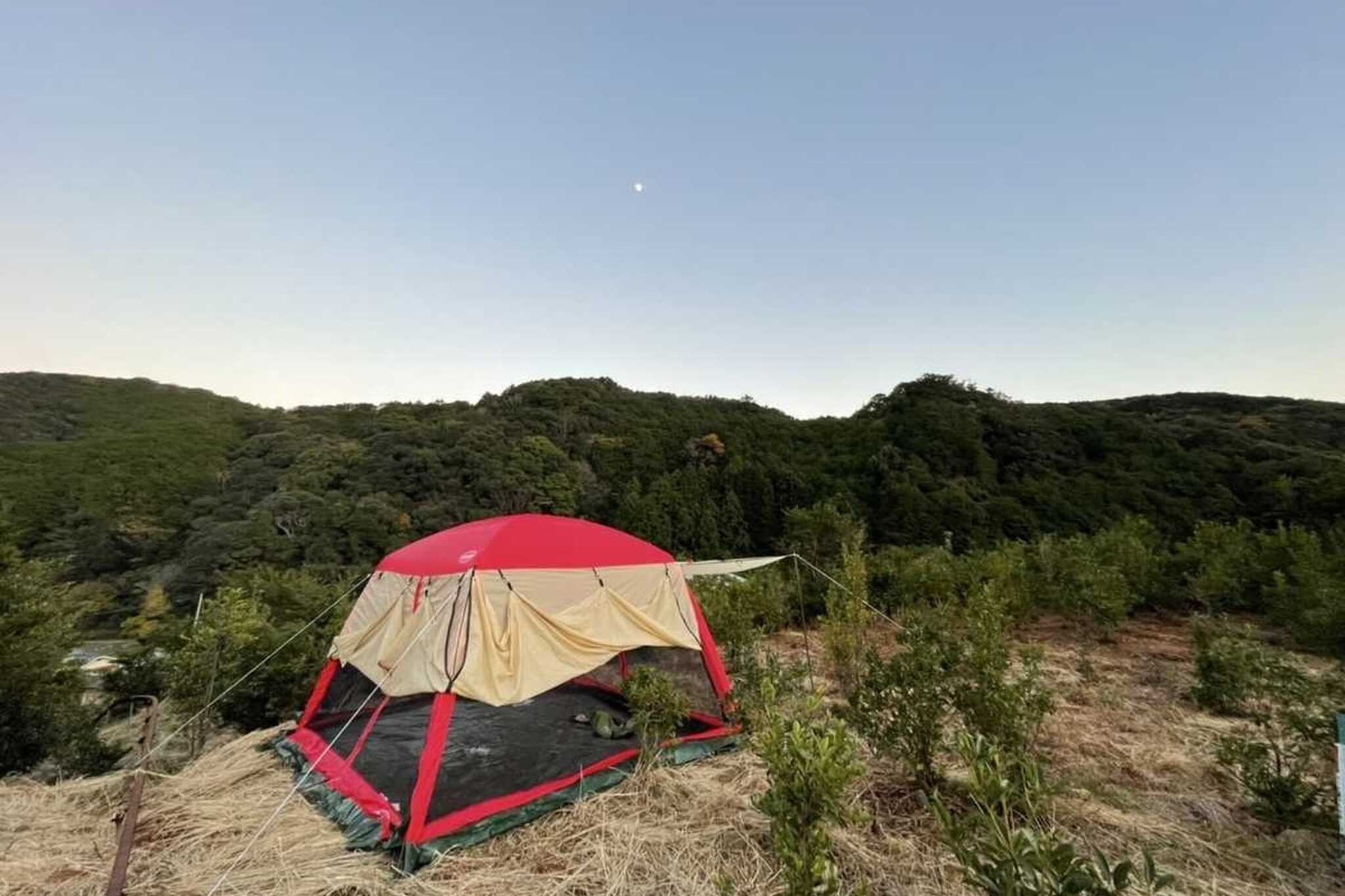 山頂テントからの最高の景色をお楽しみいただけます。