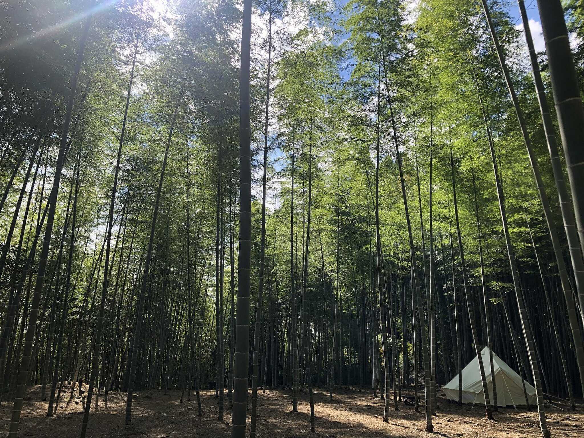 Katsuura Natural Space Camp