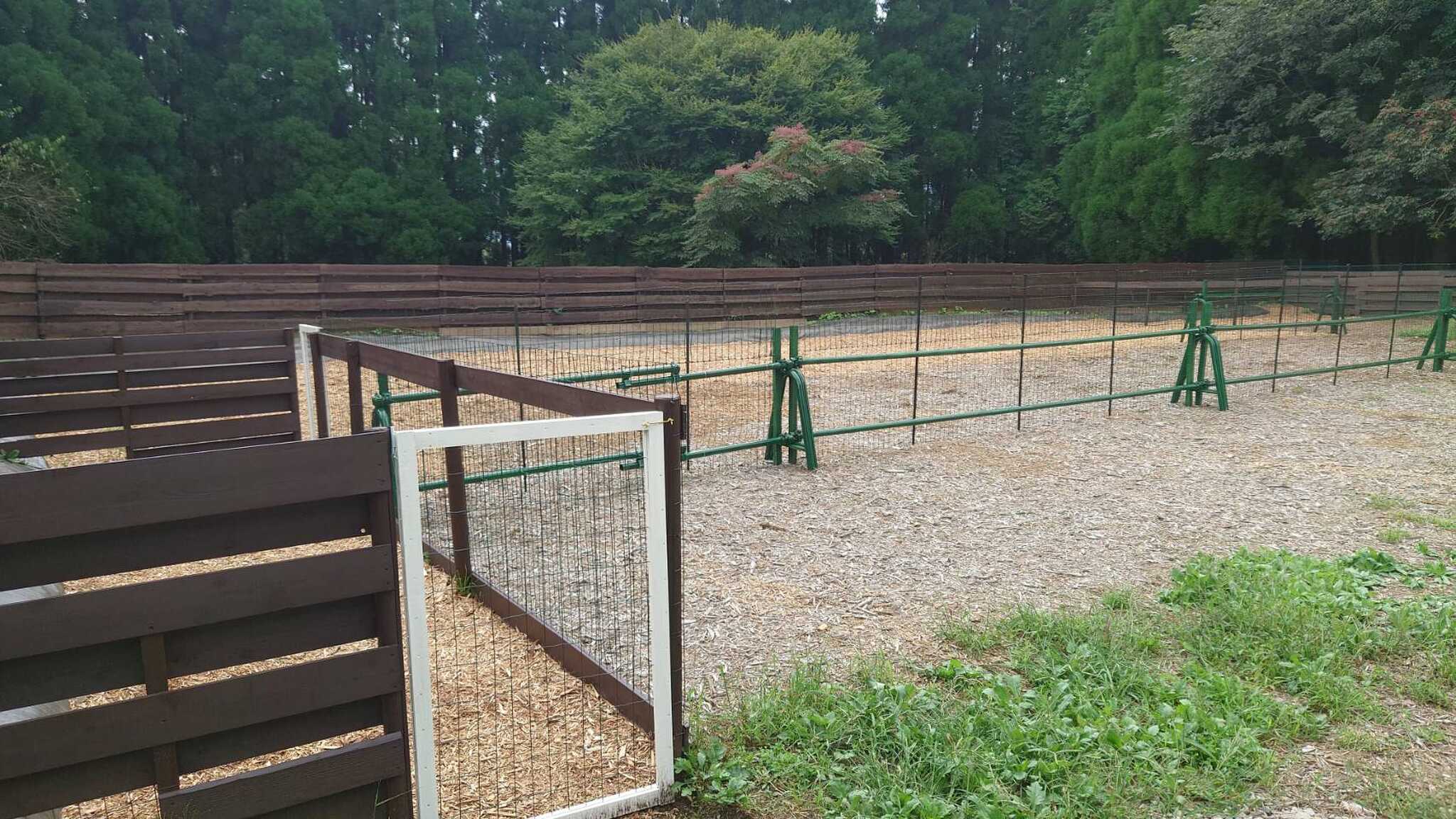 オーナー