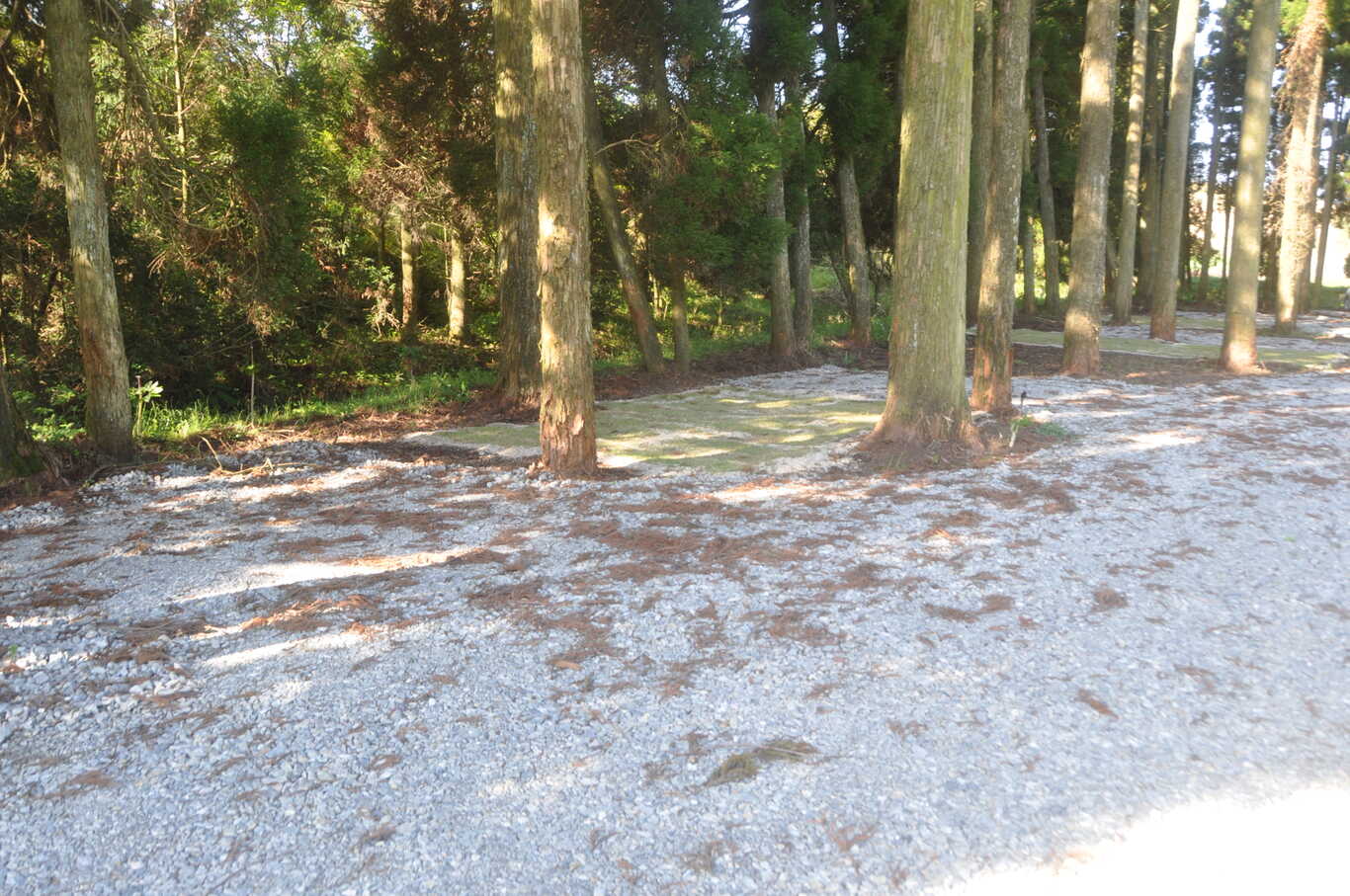 阿蘇ほっとかん photo 2
