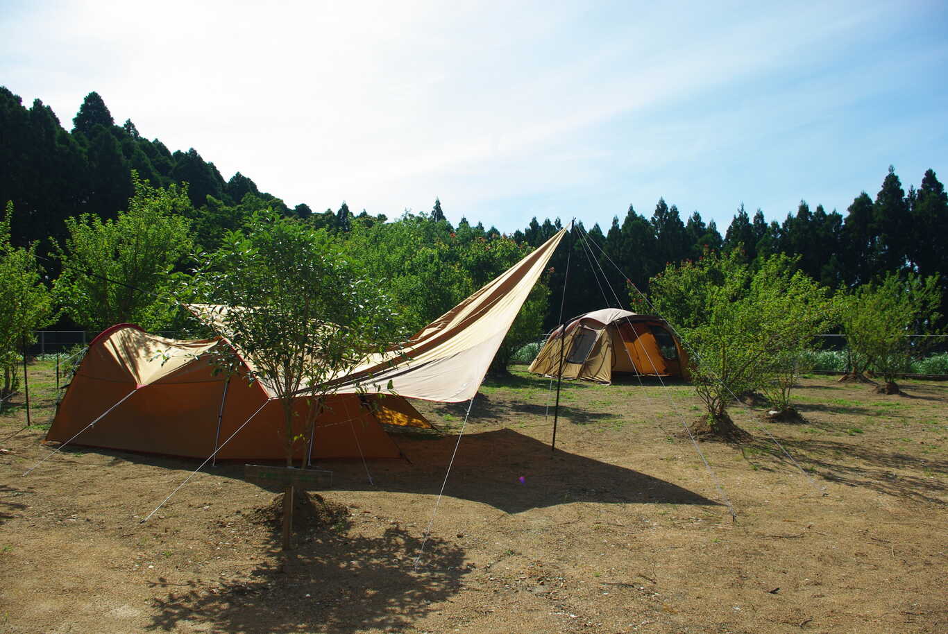HIKOSAN GARDEN CAMP photo 4