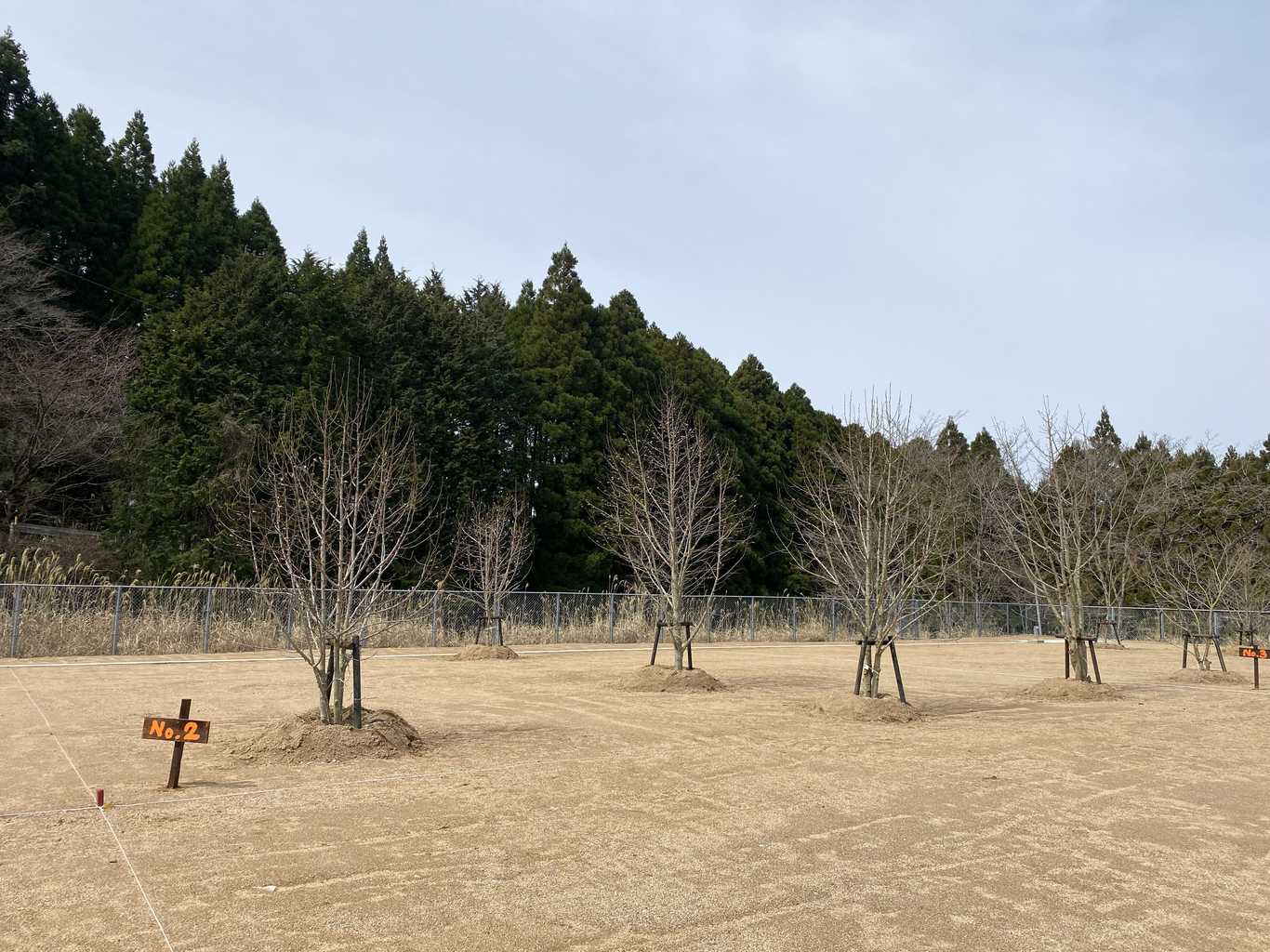 HIKOSAN GARDEN CAMP photo 5