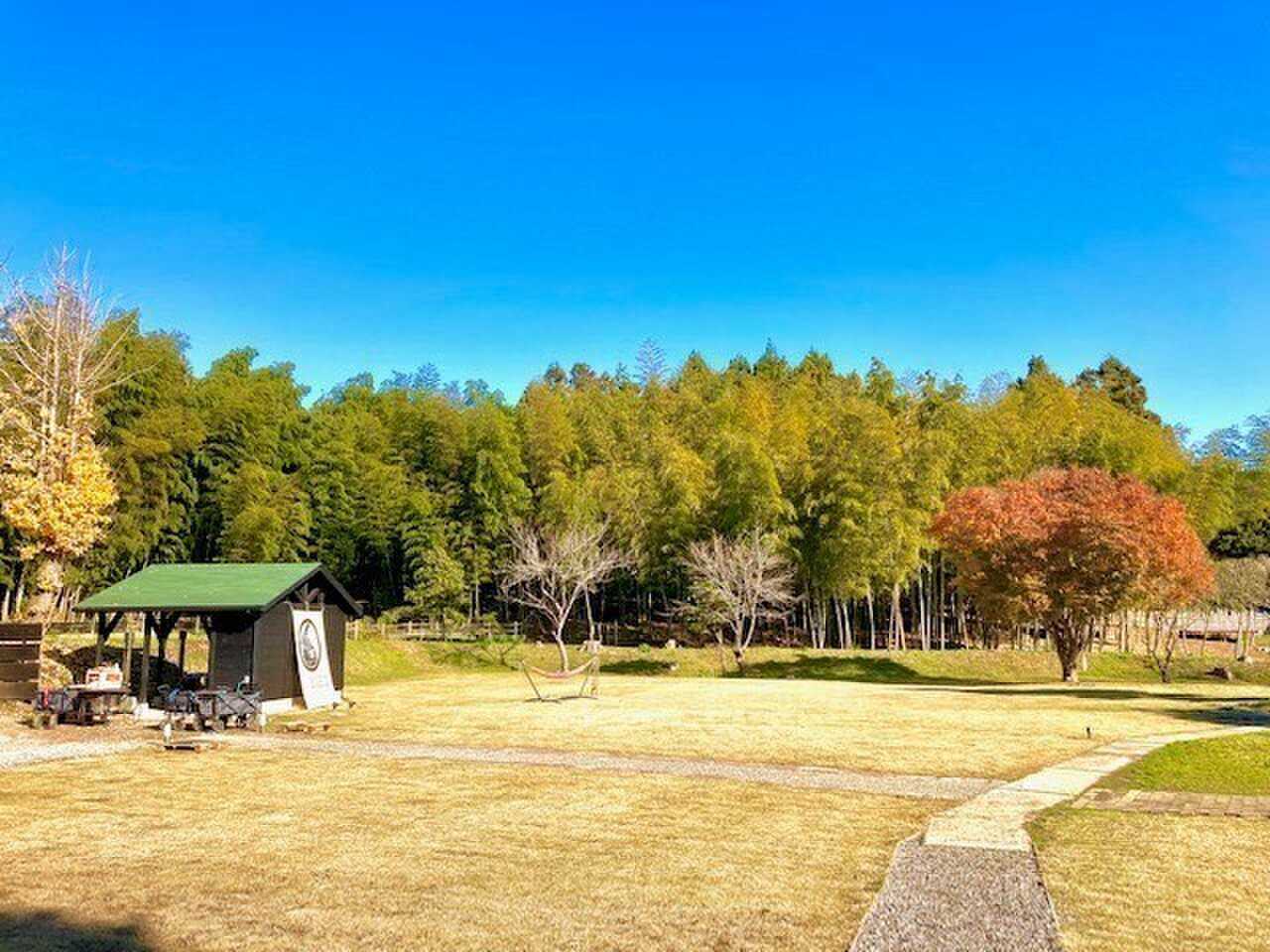 大多喜SABOキャンプ場の写真 2枚目