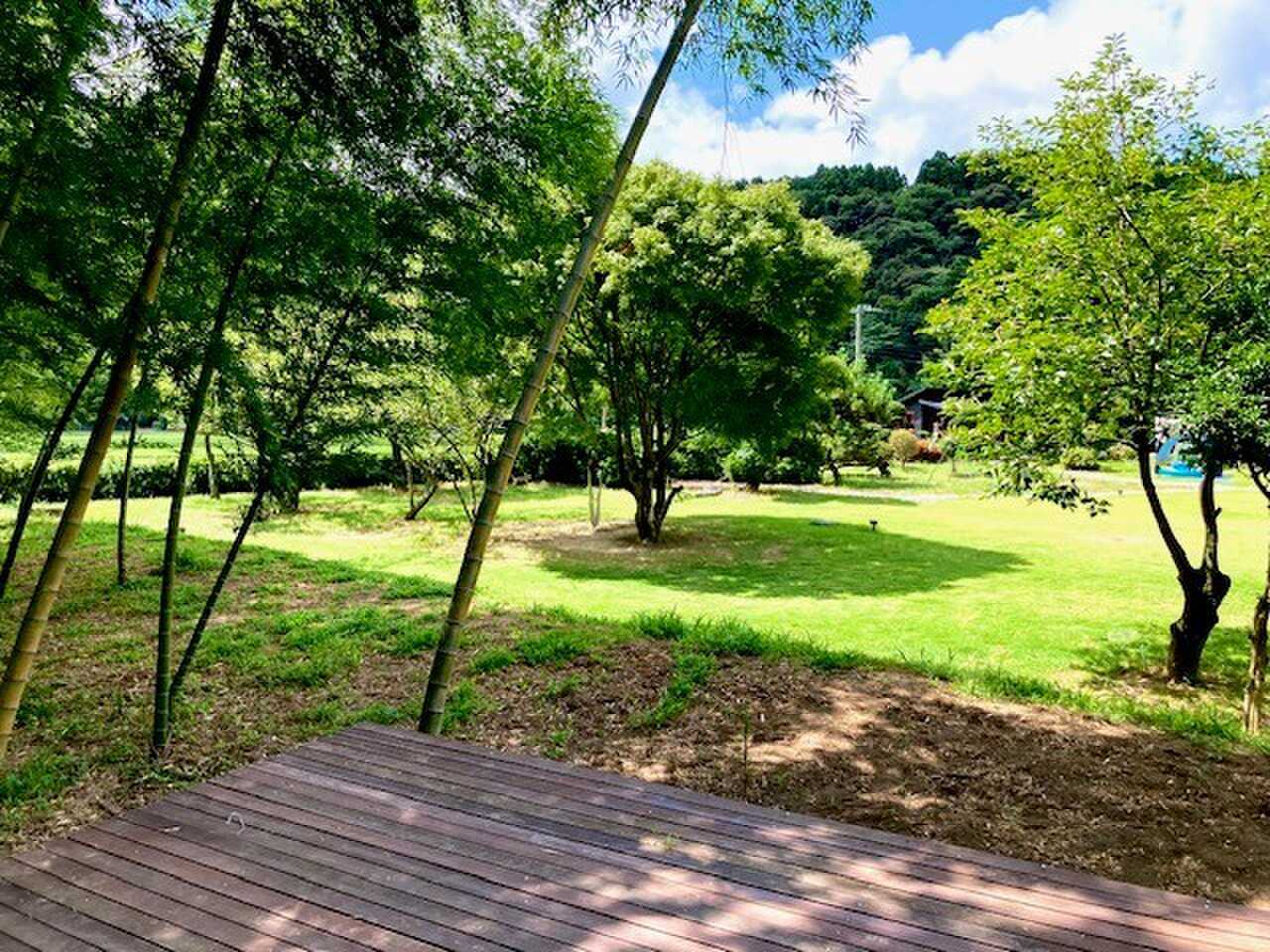 竹林は涼しい♪
