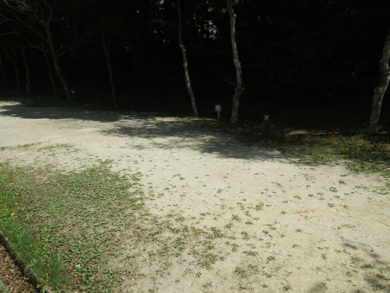 大曽公園 photo 2
