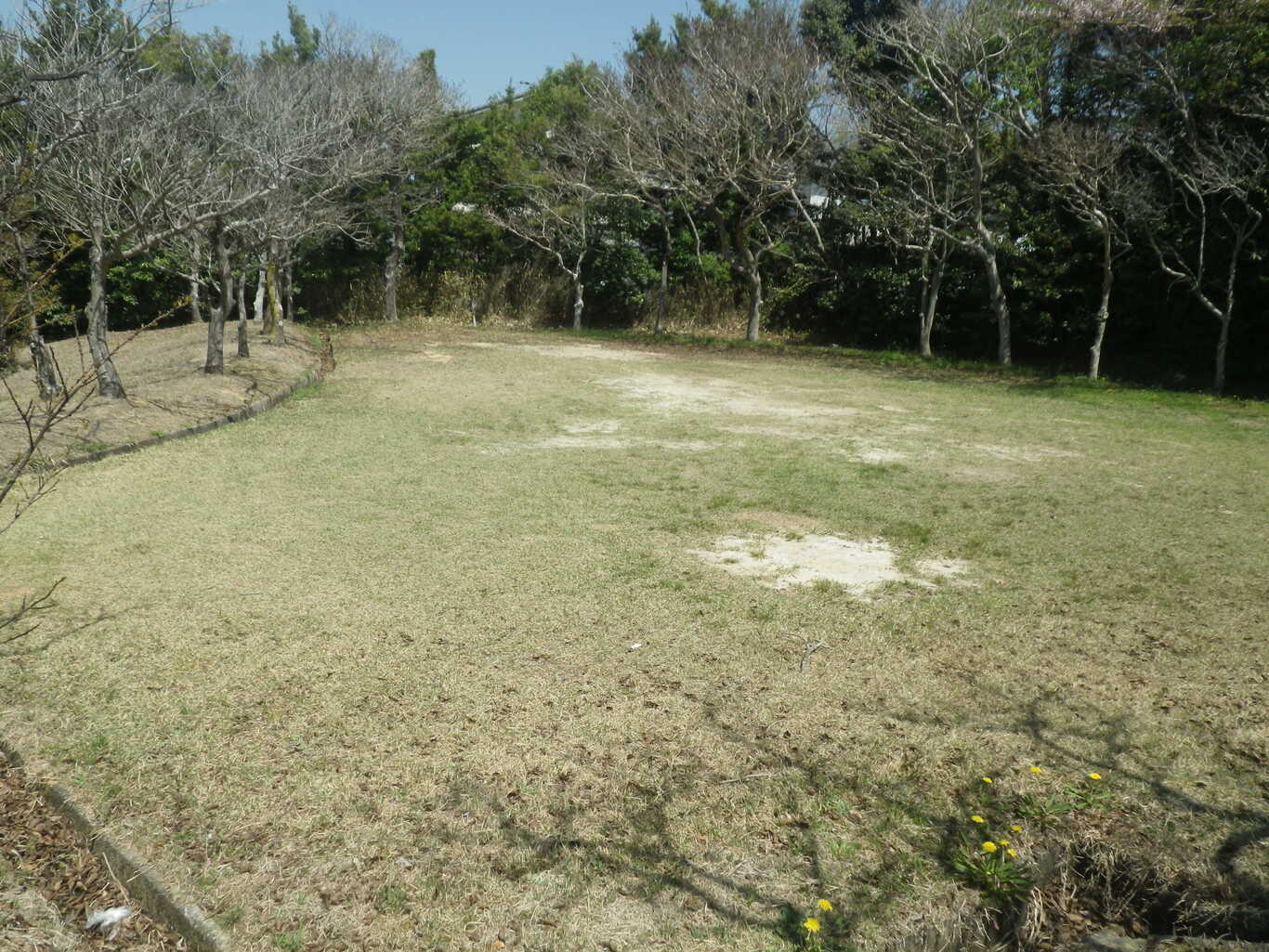 大曽公園 photo 4