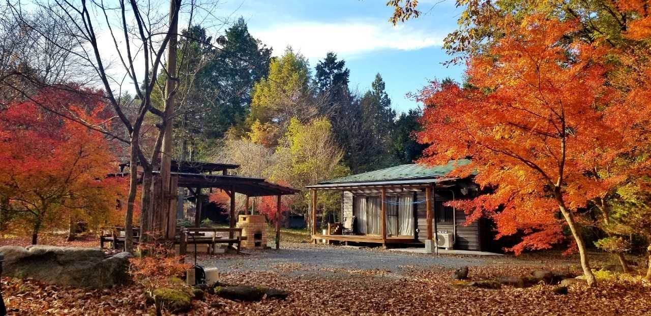 グリフ表日光の公式サイト画像