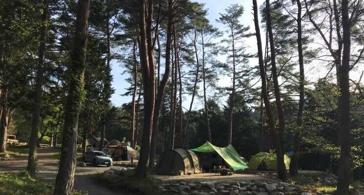 山の寺キャンプ場の写真 1枚目