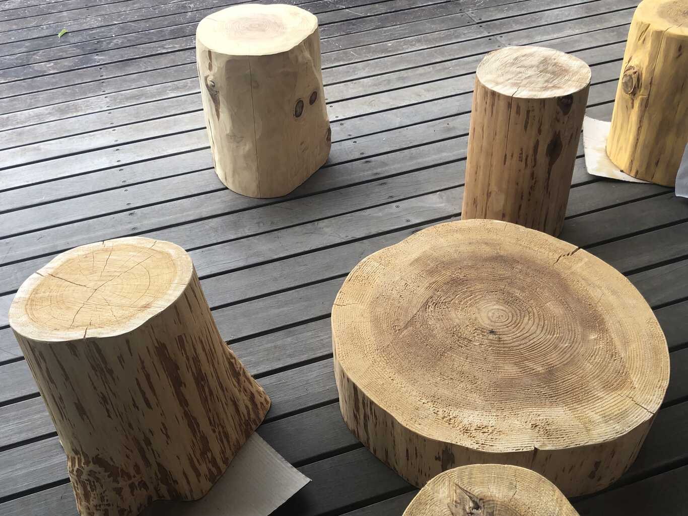 みなもと体験館 photo 5