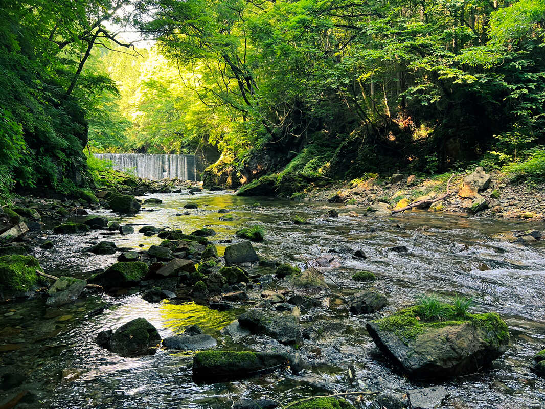 TERA Private Sauna and river