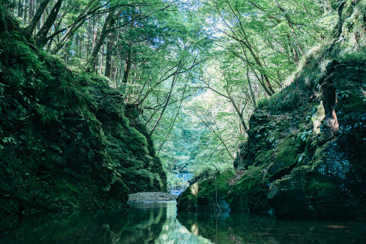 TERA Private Sauna and river