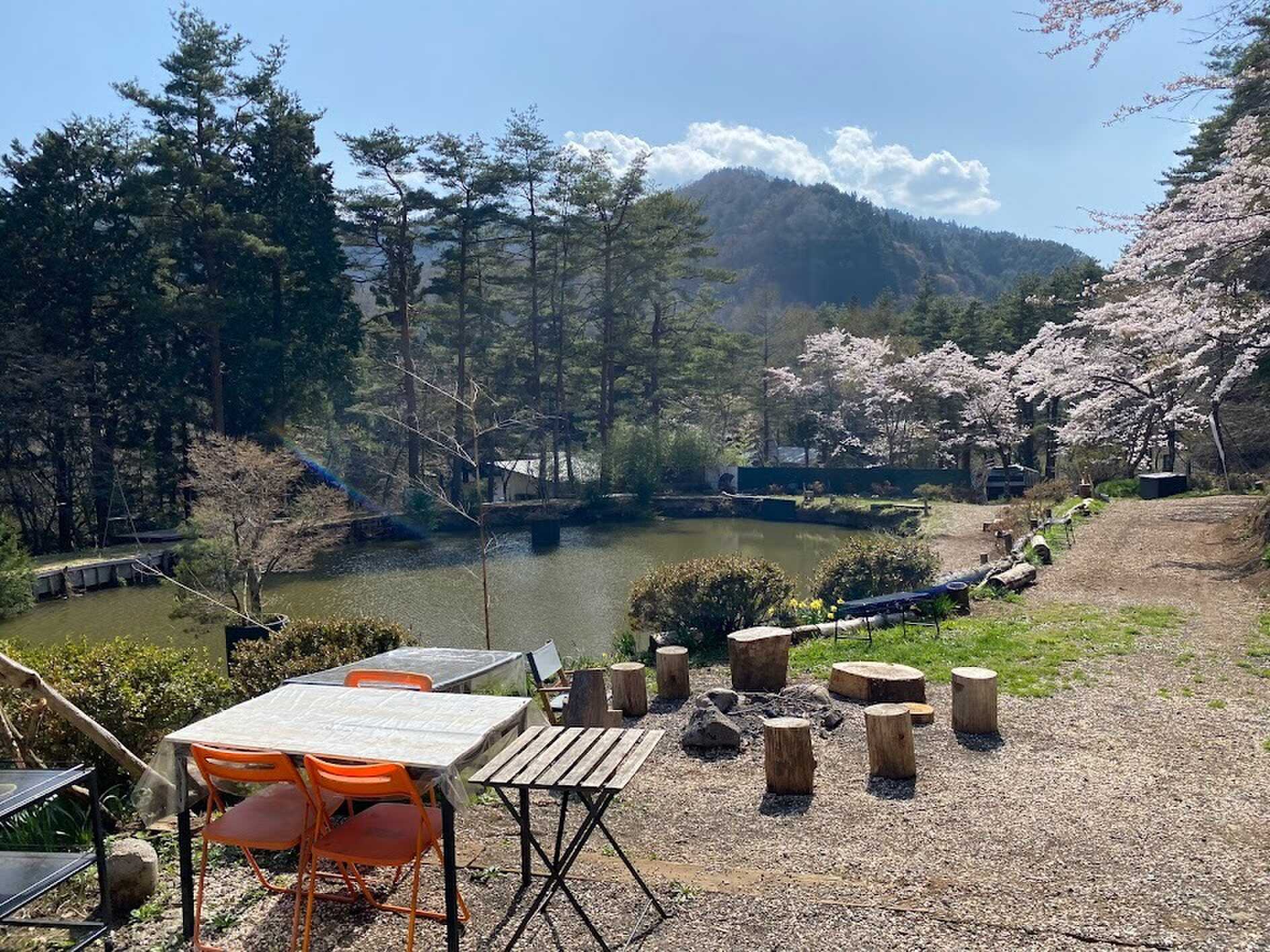 Peace Camp
