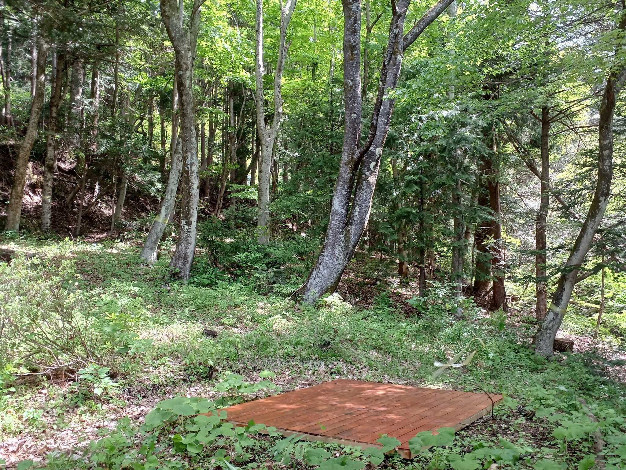 Peace Camp