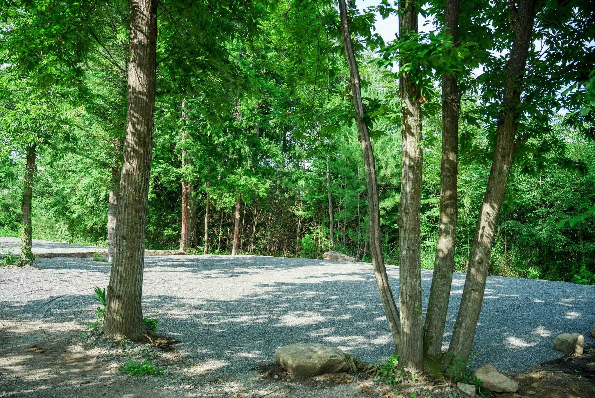 白州・星かげの森CampTownの写真 5枚目