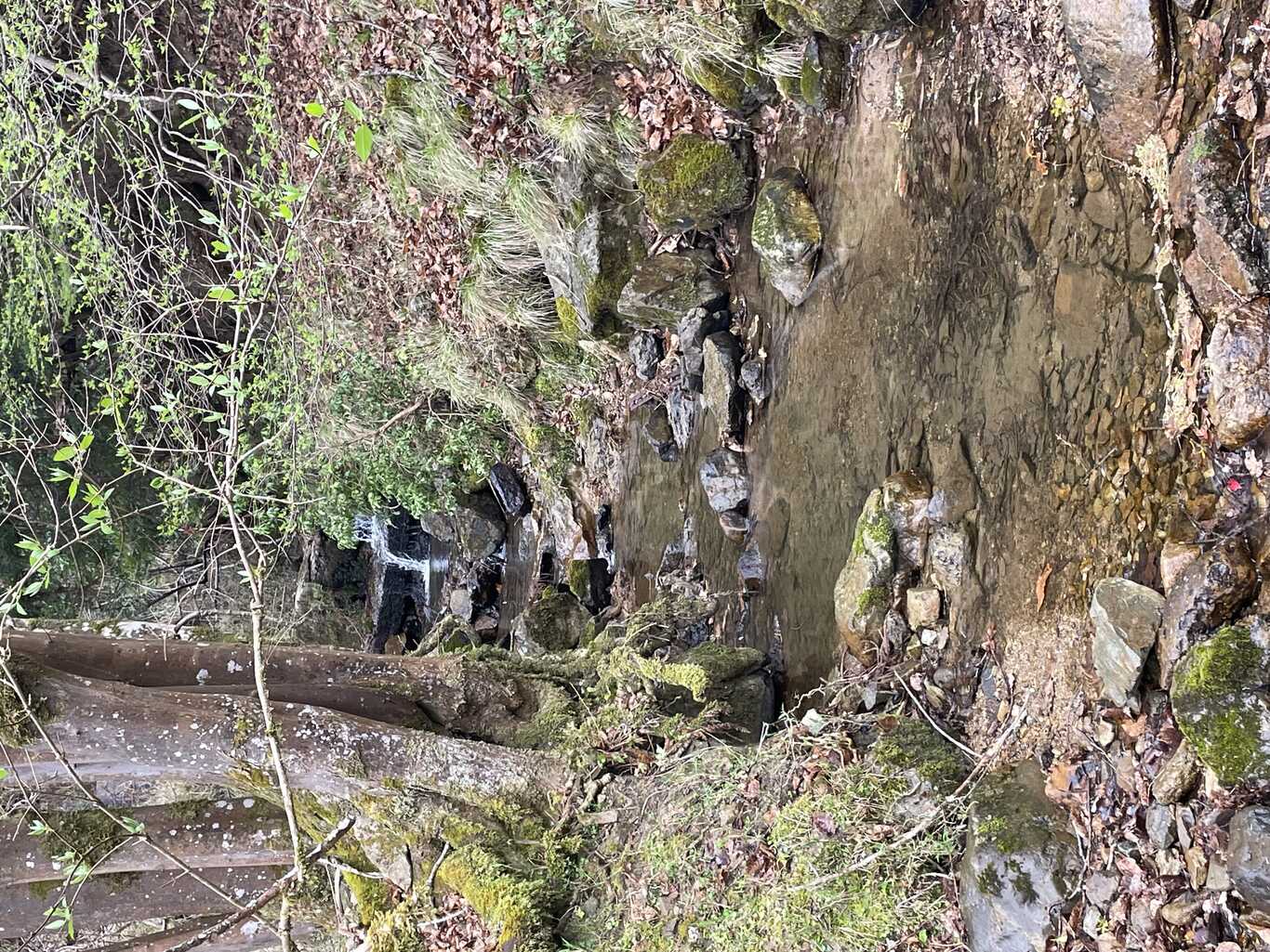 はさまじ里山の森公園キャンプエリア photo 2