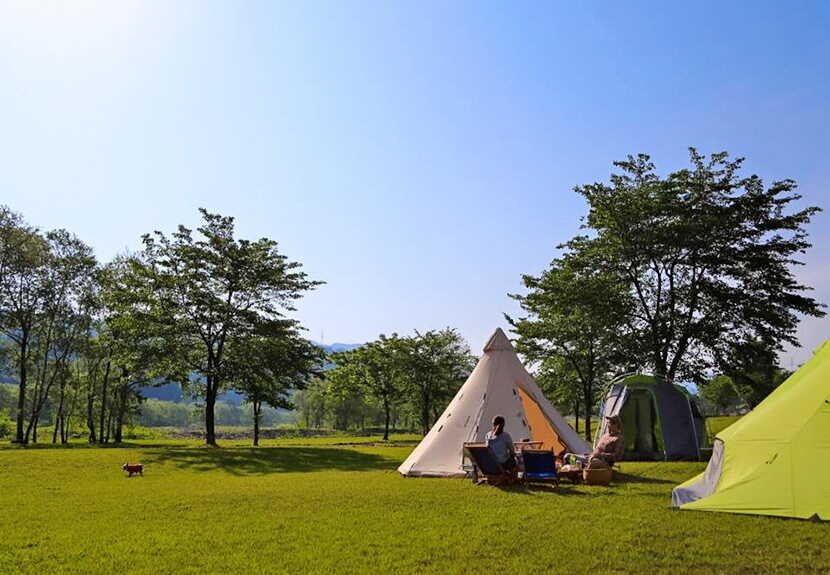 清津川フレッシュパークの写真 1枚目