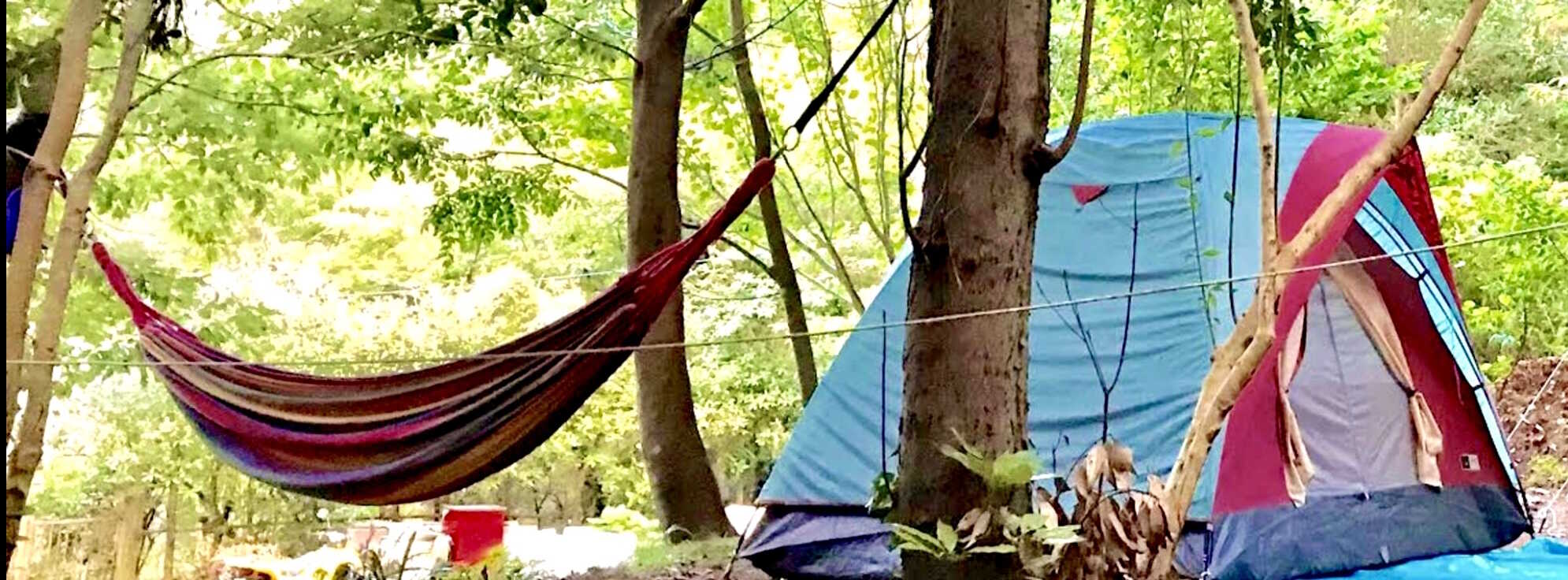 Forest Camp 南伊豆