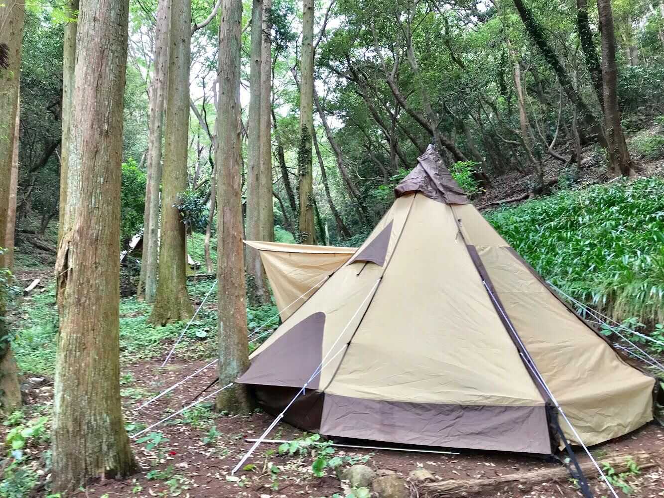 Forest Camp 南伊豆