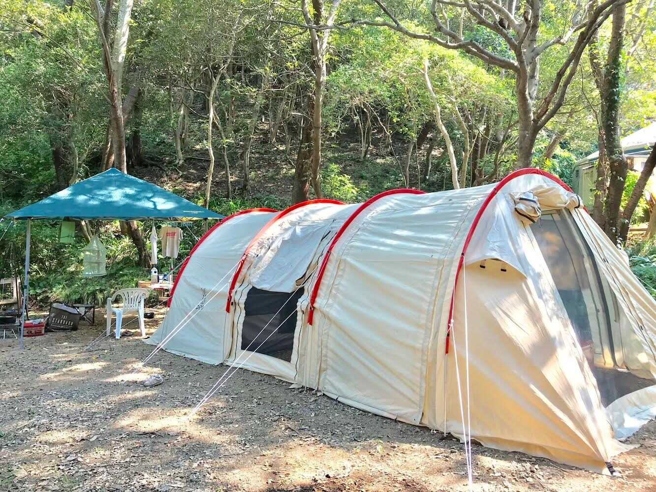 Forest Camp 南伊豆